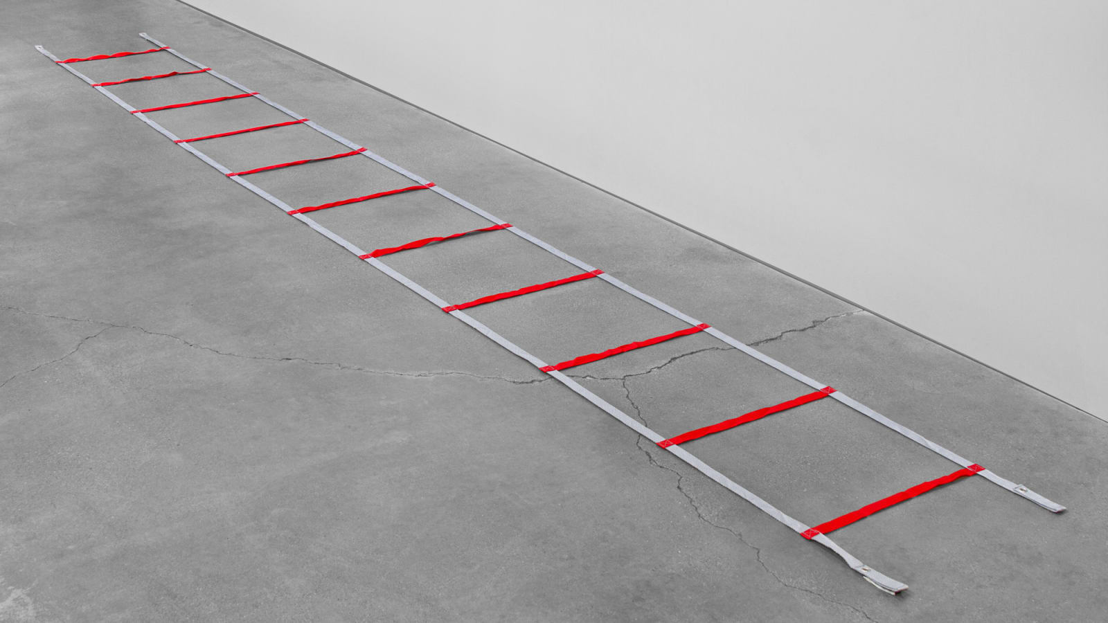 Powermax agility sale ladder